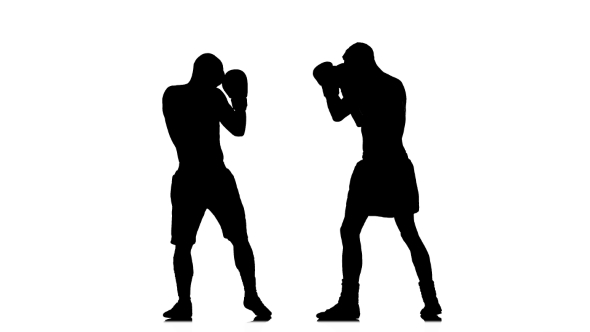 590x332 Two Kickboxer Sparring. Silhouette Of Sportsmen Training By Kinomaster