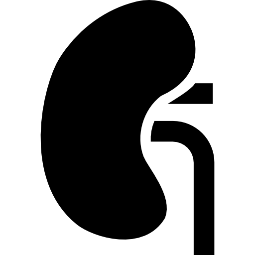 512x512 Kidney Computer Icons Clip Art