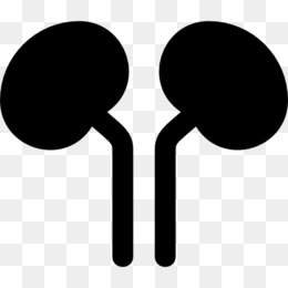 260x260 Kidney Computer Icons Clip Art