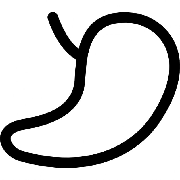 626x626 Kidney Outline Icons Free Download