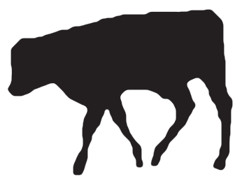 356x266 Veal Kidneys Paulina Market