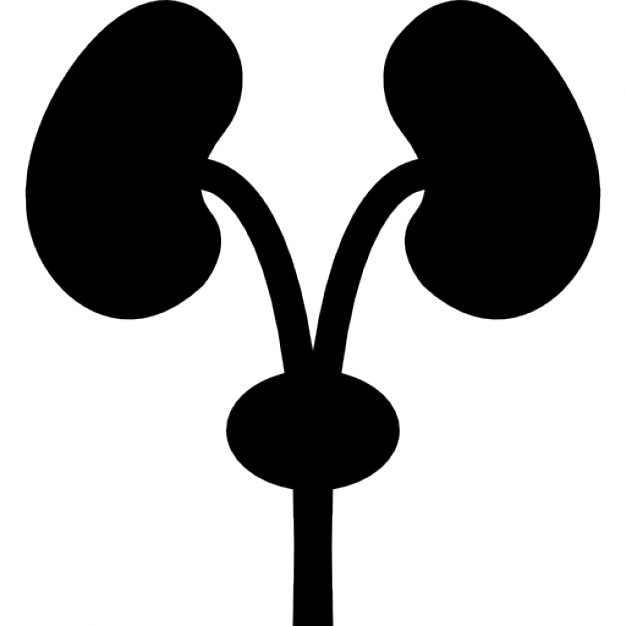 626x626 Excretory System Silhouette Icons Free Download