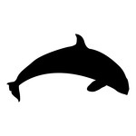 150x150 Killer Whale Silhouette Vector Image