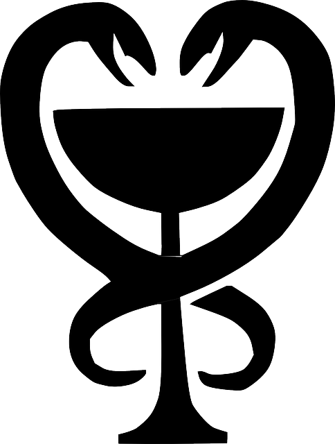 484x640 Snake King Cobra Clip Art