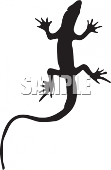 228x350 Reptile Clipart Silhouette
