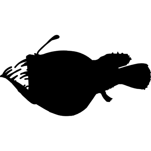 626x626 Fish Anglerfish Silhouette Icons Free Download