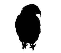 236x206 Kingfisher Bird Silhouette Clipart