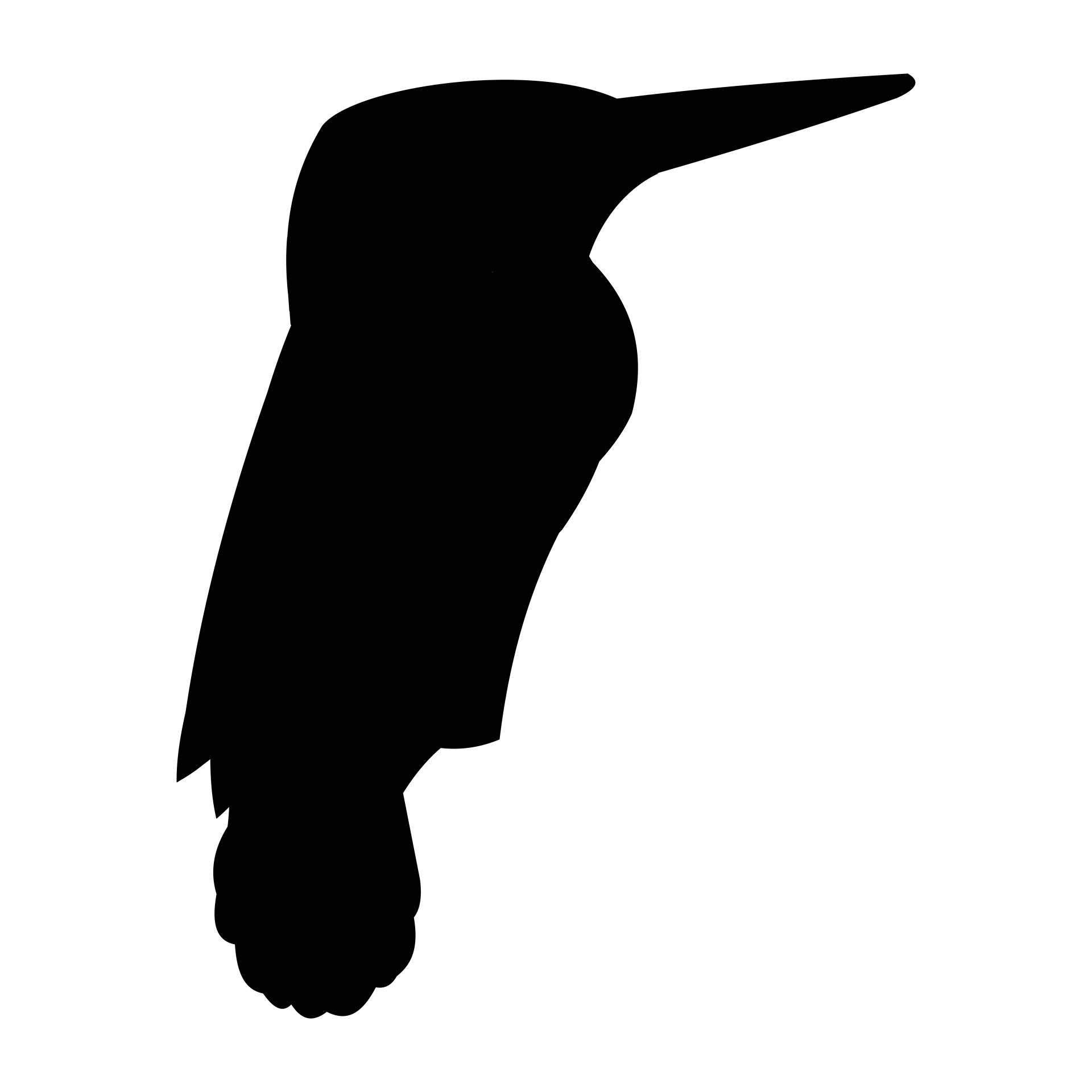 1920x1920 Kingfisher Free Stock Photo