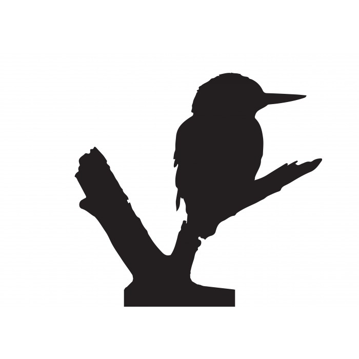 700x700 Weathervane Kingfisher Black Country Metal Works