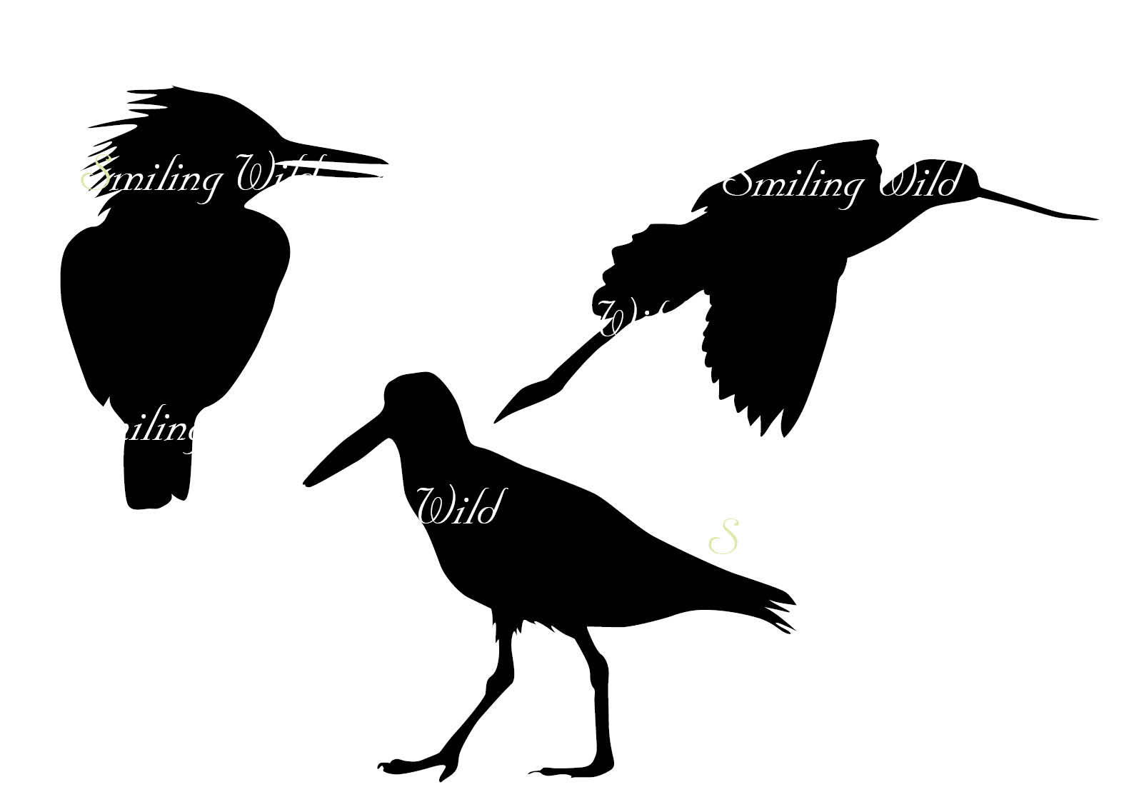 1588x1123 Bird Silhouette North America Bird Svg Cutout Png Vector Graphic