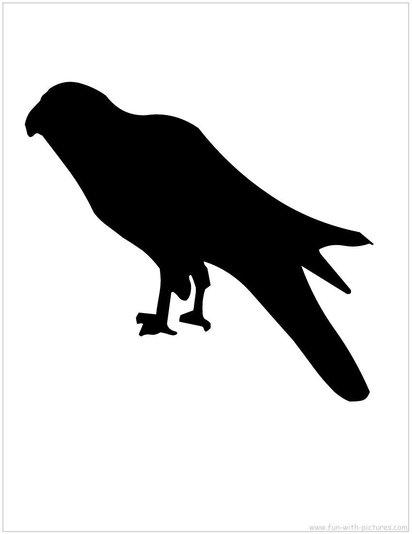 850x1100 Kite Silhouette