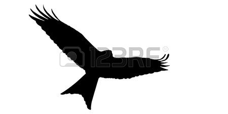 450x225 Red Kite Clipart Bird