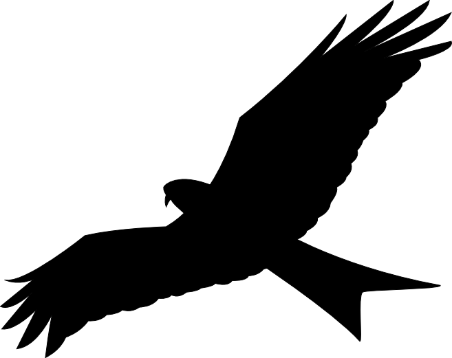 657x521 Red Kite. By Aquariumhell