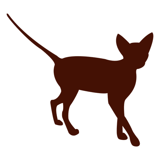 512x512 Silhouette Kitten Cat Pet