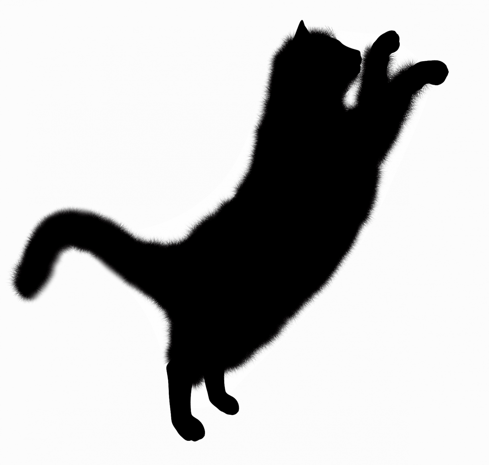 1920x1824 Silhouette Cat Free Stock Photo