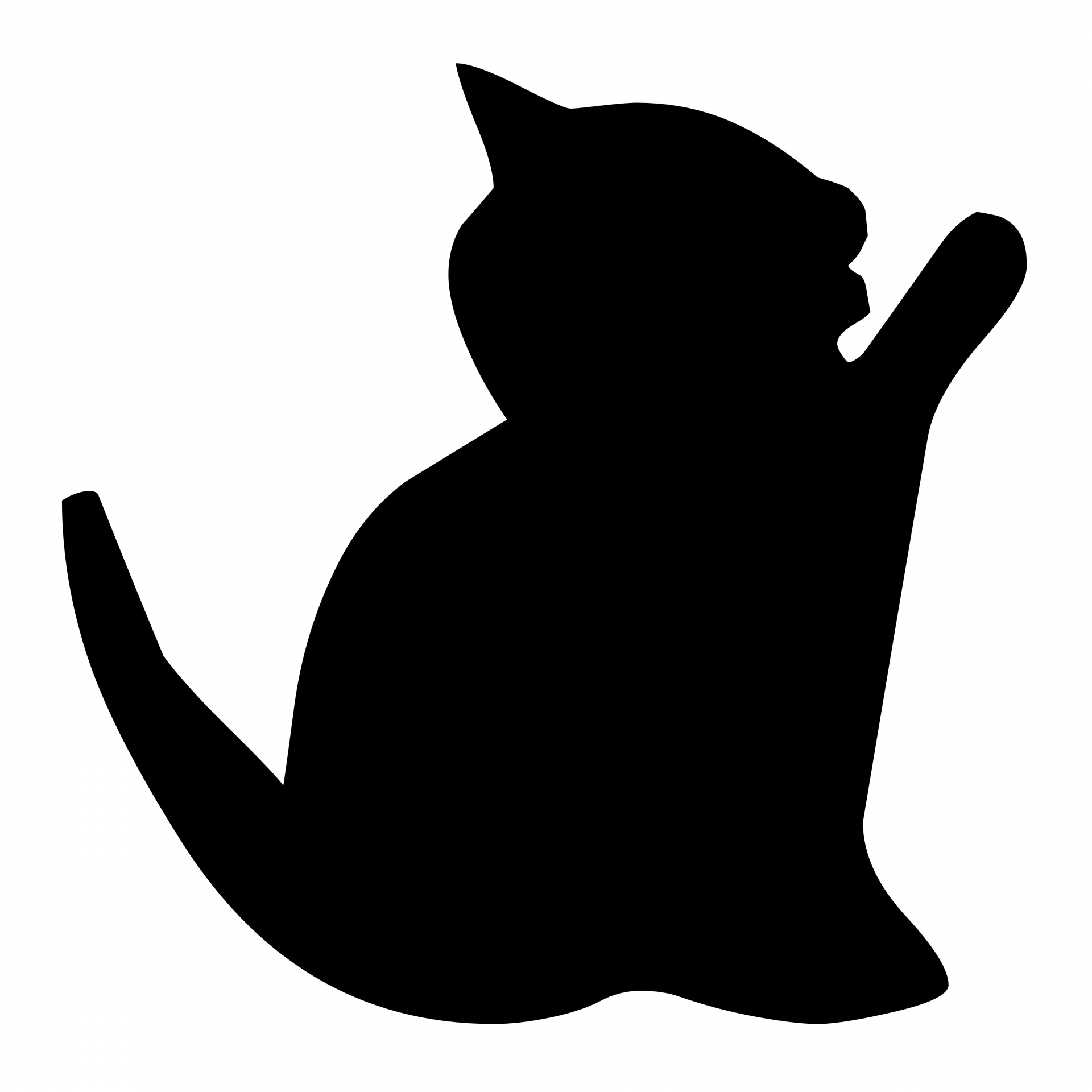 1920x1920 Silhouette Of A Cat Free Stock Photo