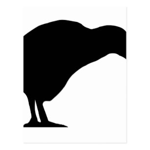 307x307 Kiwi Bird Silhouette Postcards Zazzle