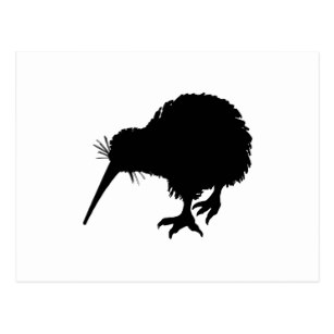 307x307 Kiwi Silhouette Gifts On Zazzle Ca