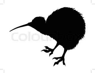 320x246 Silhouette Of A Bird Kiwi Stock Vector Colourbox
