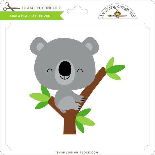 500x500 Koala Bear