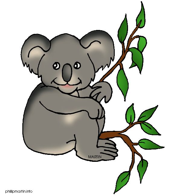 573x648 Koala Clipart Australian Animal