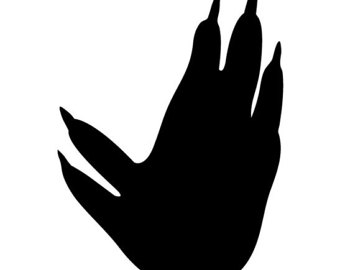 340x270 Koala Decal Etsy