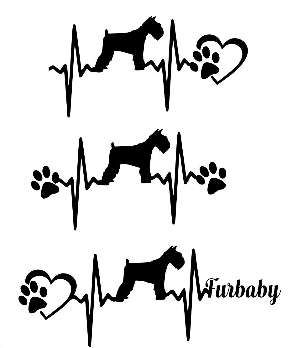 967x1111 Svg Cut File Miniature Schnauzer Short Tail