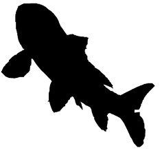236x225 Image Result For Koi Silhouette Cards