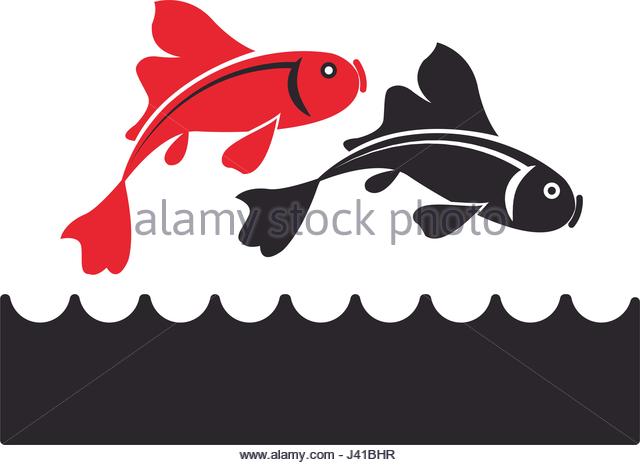 640x465 Koi Fish Stock Vector Images