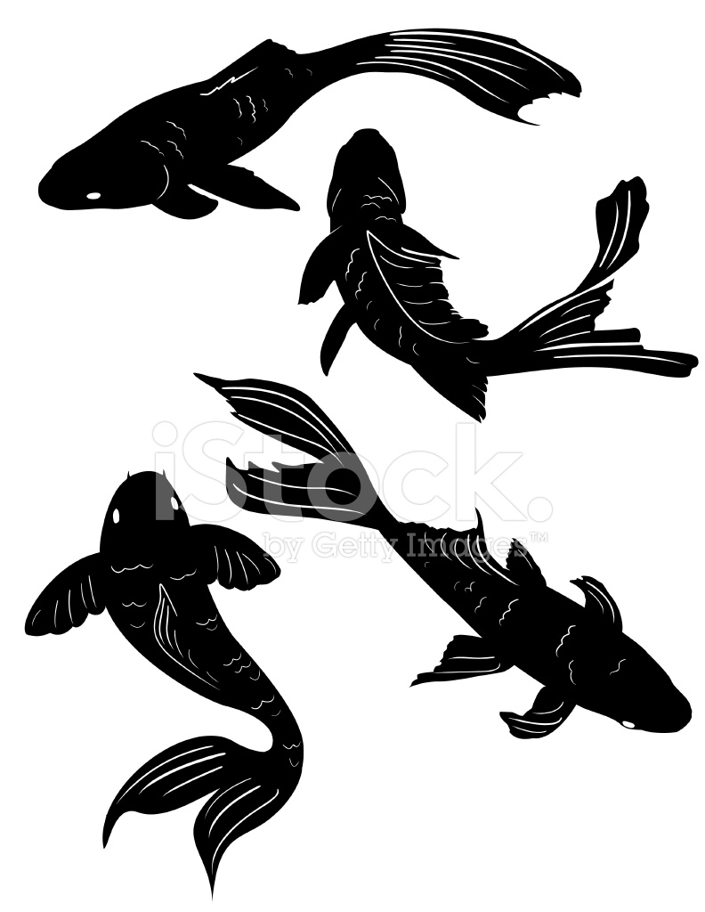 792x1024 Set Of Four Swimming Poses Koi Pond Fish Black Silhouettes Stock