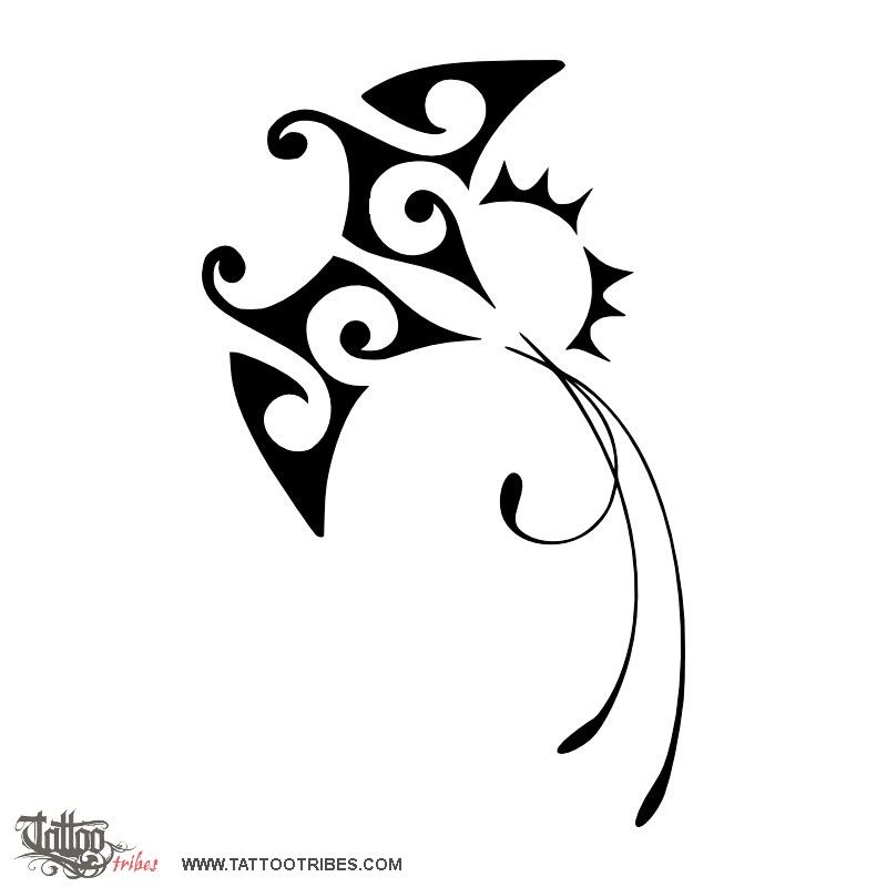 800x800 Manta. Voyage, Persistence. Sylvia Requested A Small Tattoo