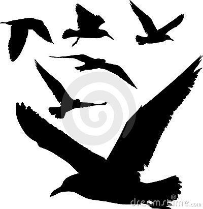 400x411 Silhouettes Of Birds