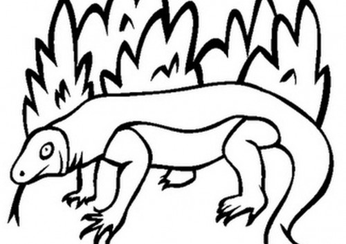 500x353 Komodo Dragon Clipart