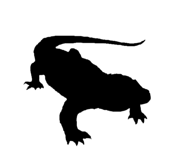 660x579 Komodo Dragon Gili Dasami Reptile Gili Motang Clip Art