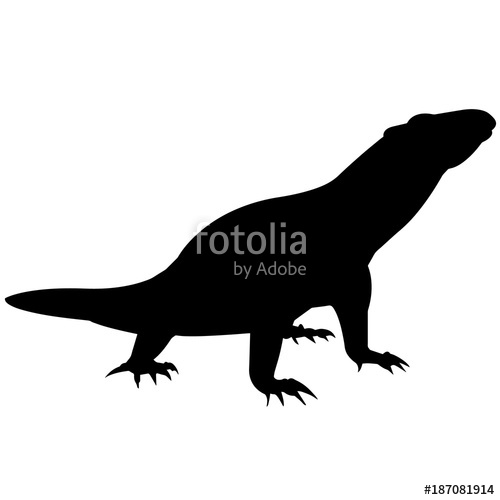 500x500 Komodo Dragon Silhouette Vector Graphics Stockfotos Und