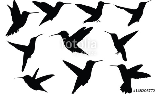 500x300 Komodo Dragon Silhouette Vector Illustration Stock Image