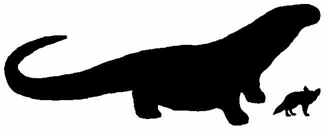 654x263 The Scorpion And The Frog Komodo Dragons Their Bite Is Worse