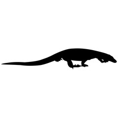 240x240 Komodo Dragon Photos, Royalty Free Images, Graphics, Vectors