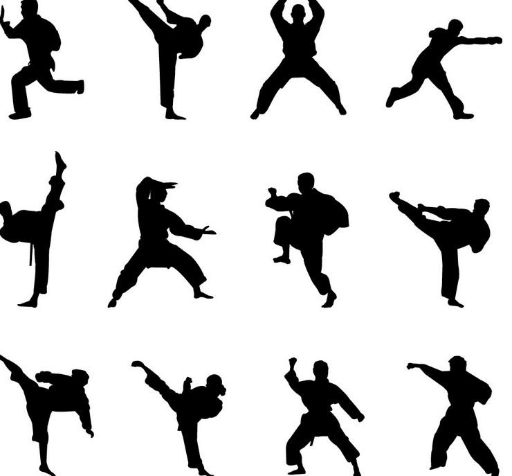 740x687 Poll When You Mention Chinese Kung Fu, Who's The First One You