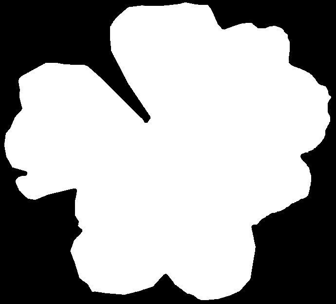 690x624 Kungfu Panda New Year Character Cartoon Animals Snow 3d