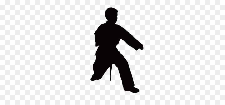 900x420 Silhouette Taekwondo Chinese Martial Arts Karate