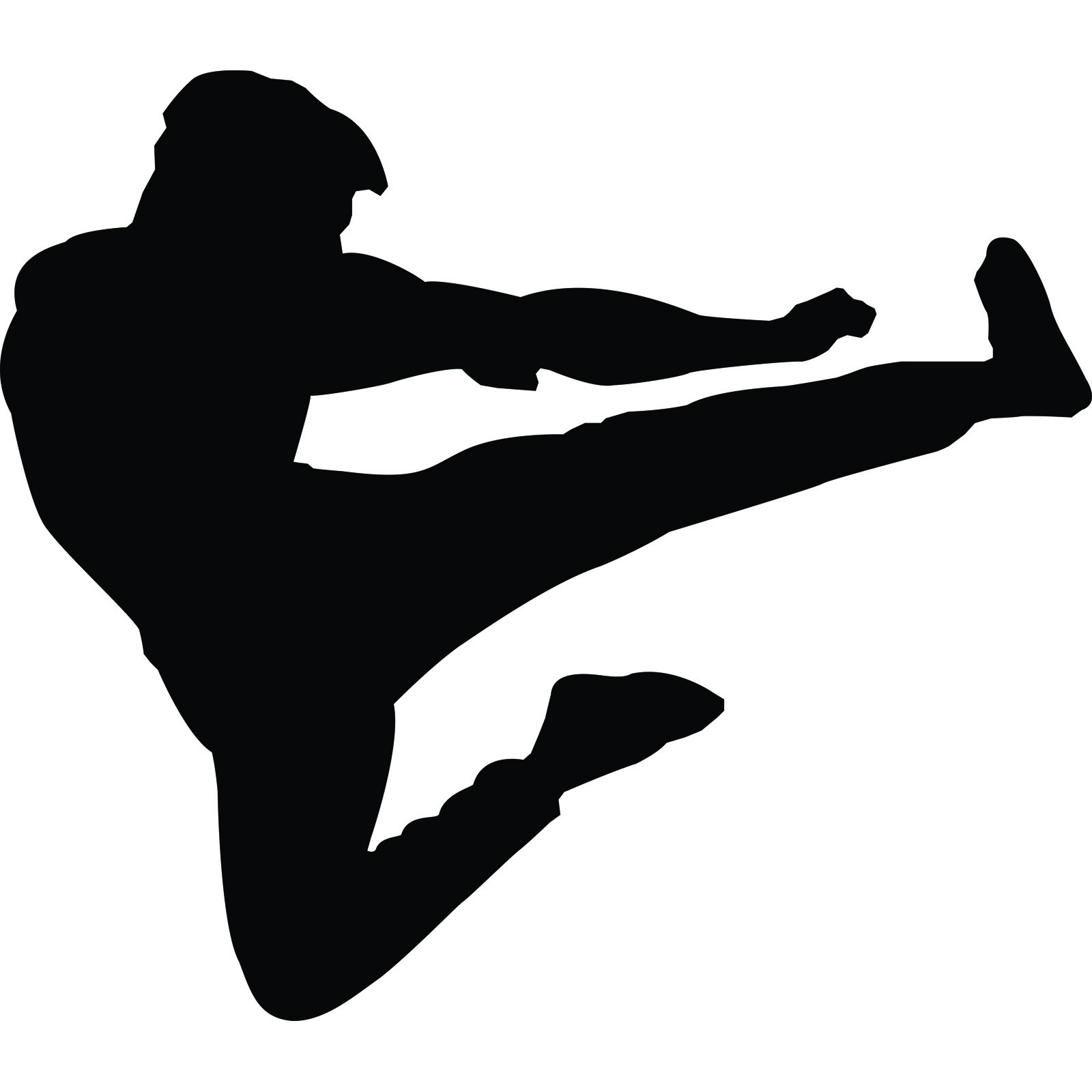 1600x1600 Martial Art Silhouette