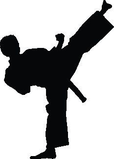 233x325 Karate Wall Decal