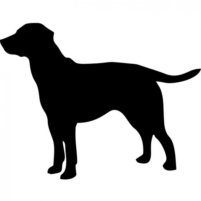 650x650 Labrador Clipart Dog Outline