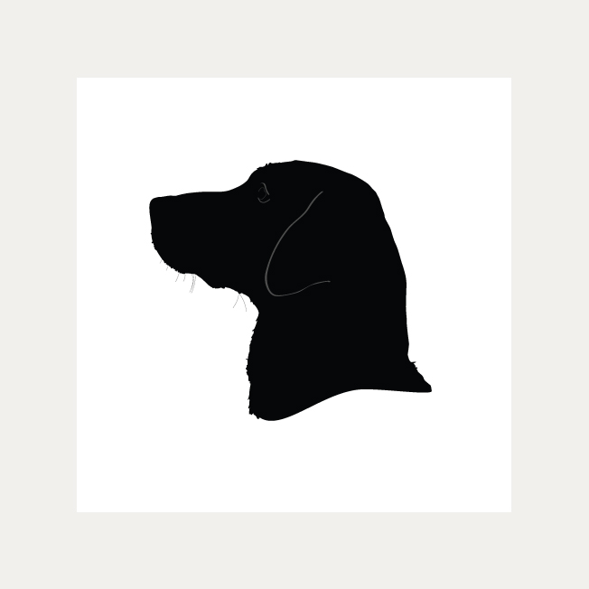 652x652 Silhouette Portrait Prints James Middleton