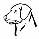 159x158 Labrador Head Silhouette Lab Silhouette Stickers Hunting Dogs