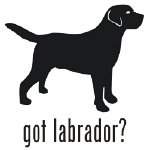 150x150 Labrador Dog Decal Sticker
