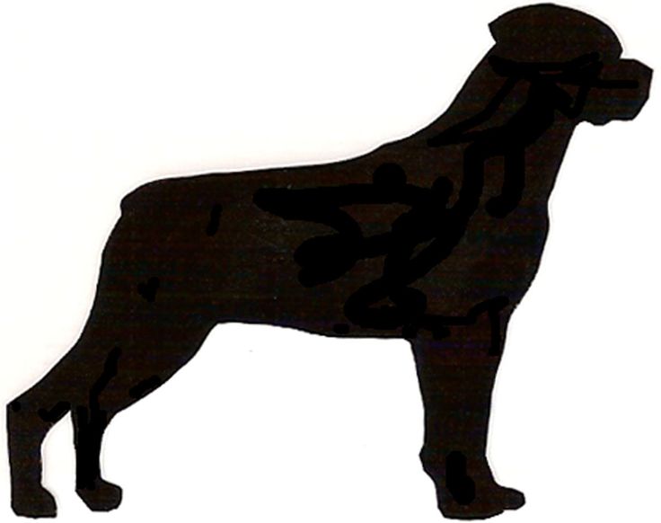 736x582 Silhouette Of Rottweiler Head Clipart