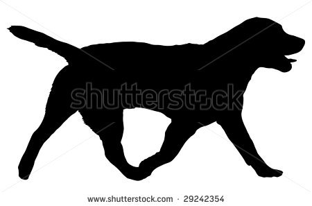450x297 Labrador Clipart Lab Dog