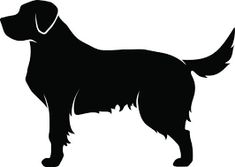 235x167 Labradoodle Silhouette